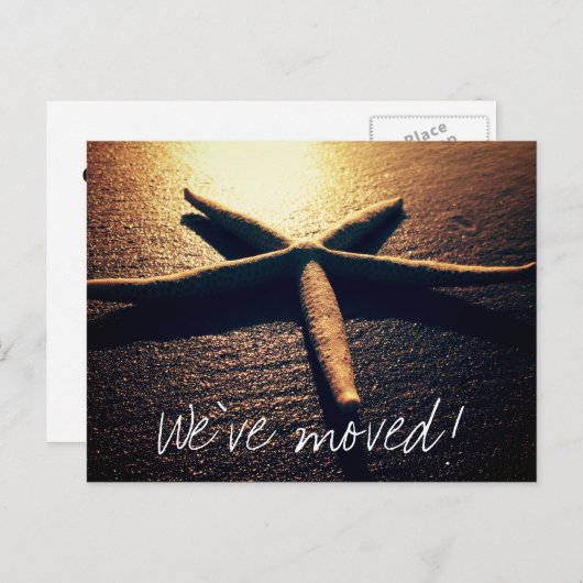 Starfishの写真を移動する新しい住所のポストカード 案内ポストカード (正面/裏面)