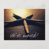 Starfishの写真を移動する新しい住所のポストカード 案内ポストカード (正面)