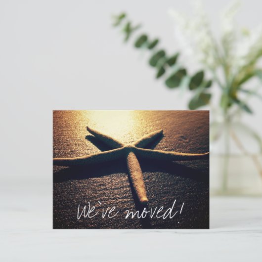 Starfishの写真を移動する新しい住所のポストカード 案内ポストカード (スタンド正面)