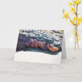 Starfishカラフル atボブクリークOR カード (黄色い花)