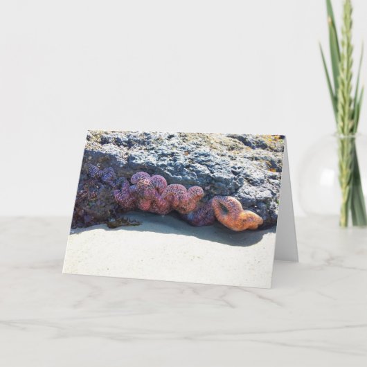 Starfishカラフル atボブクリークOR カード (正面)