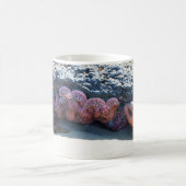 Starfishカラフル atボブクリークOR コーヒーマグカップ (中央)