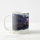 Starfishカラフル atボブクリークOR コーヒーマグカップ (左)