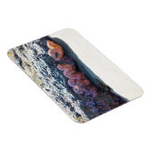 Starfishカラフル atボブクリークOR マグネット (右側)