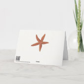 Starfish – シャーマン電燈フィッシュリトグラフ カード (裏面)