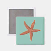 Starfish – シャーマン電燈フィッシュリトグラフ マグネット (正面/裏面)