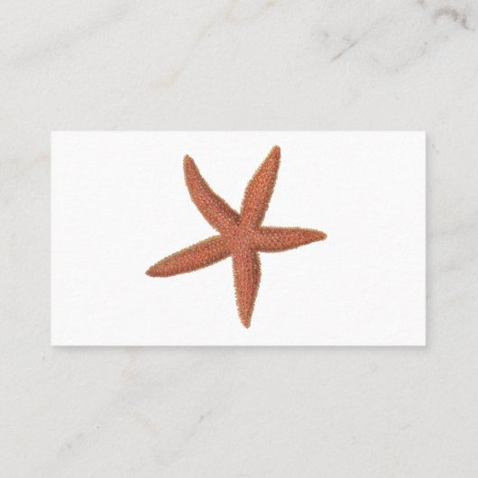 Starfish – シャーマン電燈フィッシュリトグラフ 名刺 (裏面)