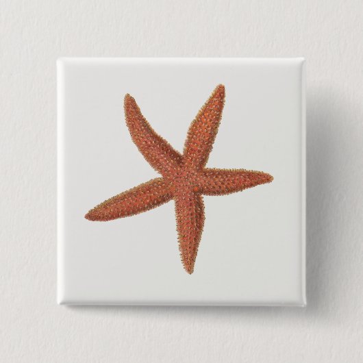 Starfish – シャーマン電燈フィッシュリトグラフ 缶バッジ (正面)