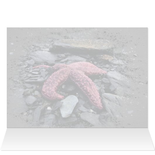 Starfish - 5" x 7"アートカード (内部横(上))