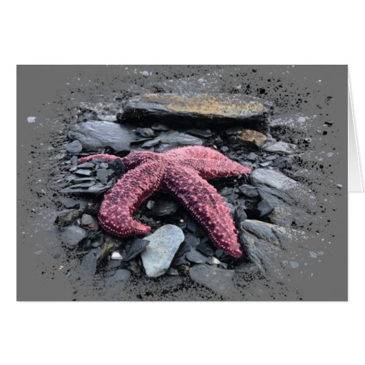 Starfish - 5" x 7"アートカード (正面横)