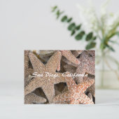 Starfish allのまわりに、サンディエゴ、カリフォルニア ポストカード (スタンド正面)