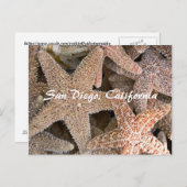 Starfish allのまわりに、サンディエゴ、カリフォルニア ポストカード (正面/裏面)