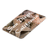 Starfish allのまわりに、サンディエゴ、カリフォルニア マグネット (左側)