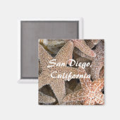 Starfish allのまわりに、サンディエゴ、カリフォルニア マグネット (正面/裏面)
