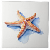 Starfish and Blue Silhouette タイル (正面)