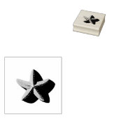 Starfish and Its Shadow ラバースタンプ (押印)