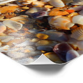 Starfish and Seashells写真プリント フォトプリント (角)