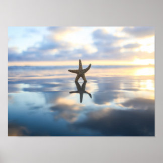Starfish at the beach photo poster print ポスター