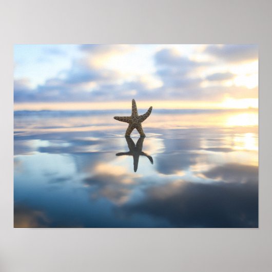 Starfish at the beach photo poster print ポスター (正面)