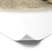 Starfish Shellsプルメリアon Sand ポスター (角)