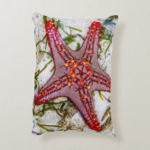 Starfish、Zanzibar、タンザニア アクセントクッション (裏面(縦))