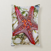 Starfish、Zanzibar、タンザニア アクセントクッション (正面(垂直))