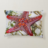 Starfish、Zanzibar、タンザニア アクセントクッション (裏面)