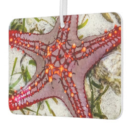 Starfish、Zanzibar、タンザニア カーエアーフレッシュナー