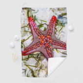 Starfish、Zanzibar、タンザニア ゴルフタオル (インサイチュ)