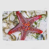 Starfish、Zanzibar、タンザニア ゴルフタオル (横)