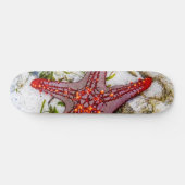 Starfish、Zanzibar、タンザニア スケートボード (横)