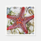 Starfish、Zanzibar、タンザニア スタンダードカクテルナプキン (正面)