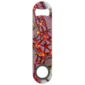 Starfish、Zanzibar、タンザニア スピード栓抜き (正面)