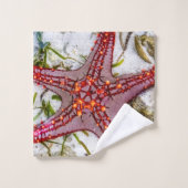 Starfish、Zanzibar、タンザニア バスタオルセット (ウォッシュタオル)