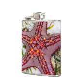 Starfish、Zanzibar、タンザニア フラスク (左)