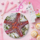 Starfish、Zanzibar、タンザニア ペーパープレート (パーティー)