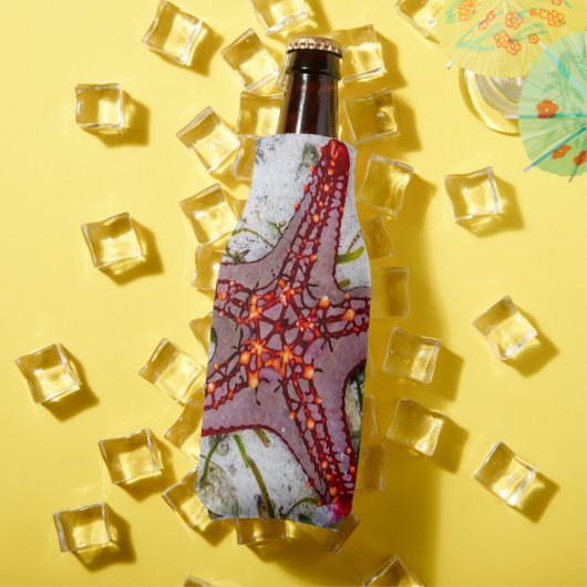 Starfish、Zanzibar、タンザニア ボトルクーラー (インサイチュ 夏)