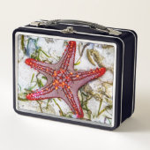 Starfish、Zanzibar、タンザニア メタルランチボックス (正面)