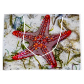 Starfish、Zanzibar、タンザニア ラージペーパーバッグ (正面)
