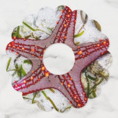 Starfish、Zanzibar、タンザニア ワイングラスタグ (裏面)