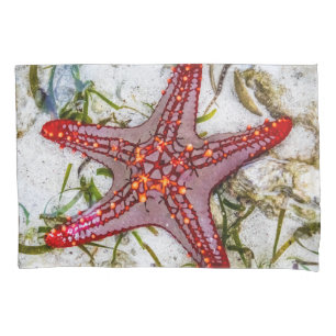 Starfish、Zanzibar、タンザニア 枕カバー