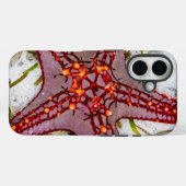 Starfish、Zanzibar、タンザニア Case-Mate iPhoneケース (裏面 (横))