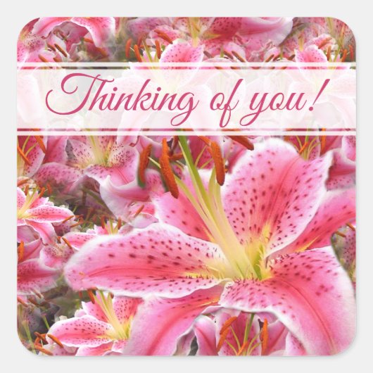 "Stargazer"ライリー広場ステッカー スクエアシール (正面)