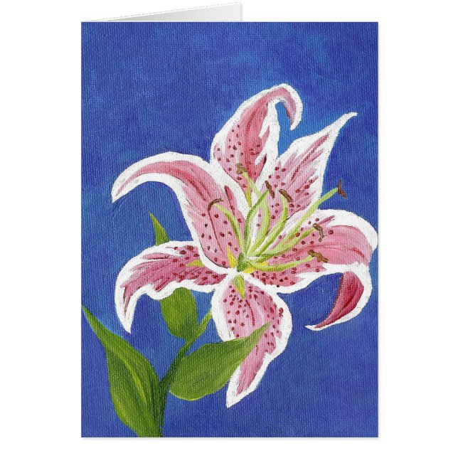 Stargazer Lilyカー空白のド (正面)