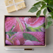 Stargazer Oriental Lilies、フルフラワー 薄葉紙 (ギフト)
