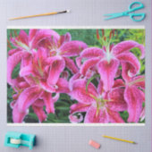 Stargazer Oriental Lilies、フルフラワー 薄葉紙 (クラフト)