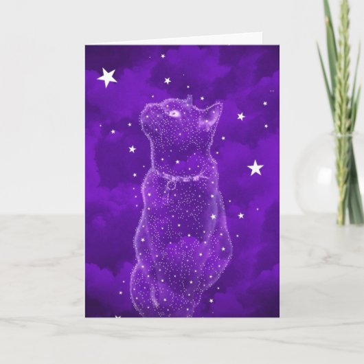 Stargazing Cat Greeting Card カード (正面)