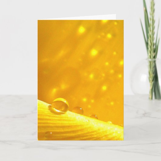 Stargazing Dew Drops, Stories in Nature Poetry カード (正面)