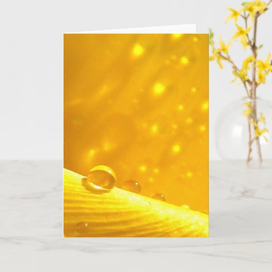 Stargazing Dew Drops, Stories in Nature Poetry カード (黄色い花)