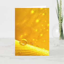 Stargazing Dew Drops, Stories in Nature Poetry カード